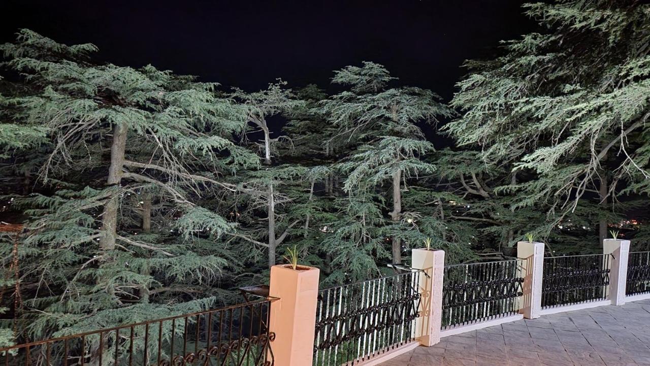 Glen View Heritage Homestay Simlá Kültér fotó