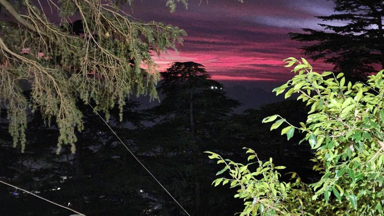 Glen View Heritage Homestay Simlá Kültér fotó